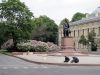 IMG 0827 копия