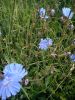 DSC00440