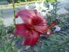 Фото0008