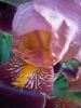 DSCN1315