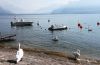 Свежее утро на Женевском озере