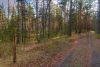 Проселок