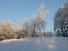 новогодняя открытка
