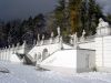 Запахи весны