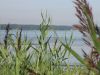 вид на море