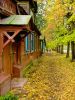 Спуск к Волге