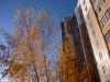 ДВОРИКИ3