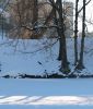 в солнечной дымке