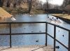 учебные полеты