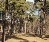 прогулка