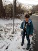 IMG 1131