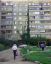 Лоза