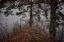 MYST